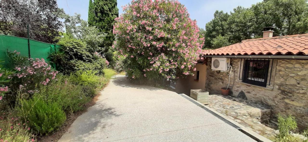 Gite De Charme Dans Mas Catalan Prades  Exterior photo